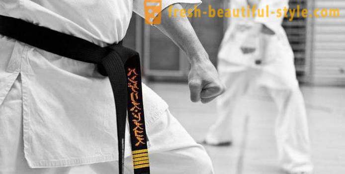 Јапански врсте борилачких вештина: Опис, карактеристике и занимљивости