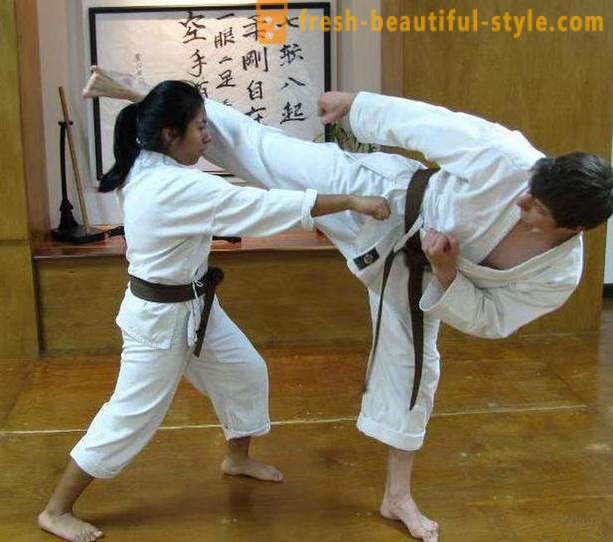 Јапански врсте борилачких вештина: Опис, карактеристике и занимљивости