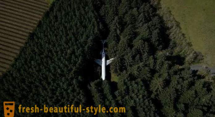 Амерички, 15 година живота у авиону у сред шуме