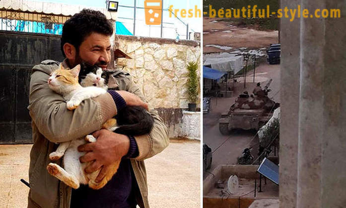Човек је остао у ратом разореној Алепу да се брине о напуштеним животињама