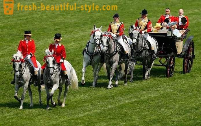Британски високи друштво коњским тркама у Асцот