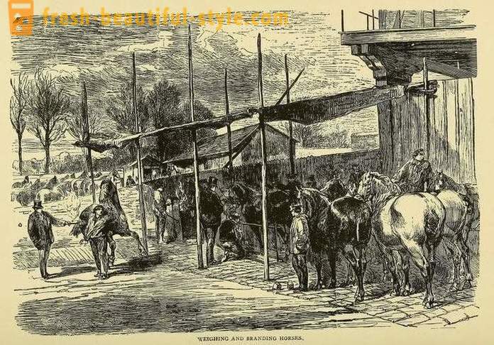 Становници су живели на Париз током опсаде града