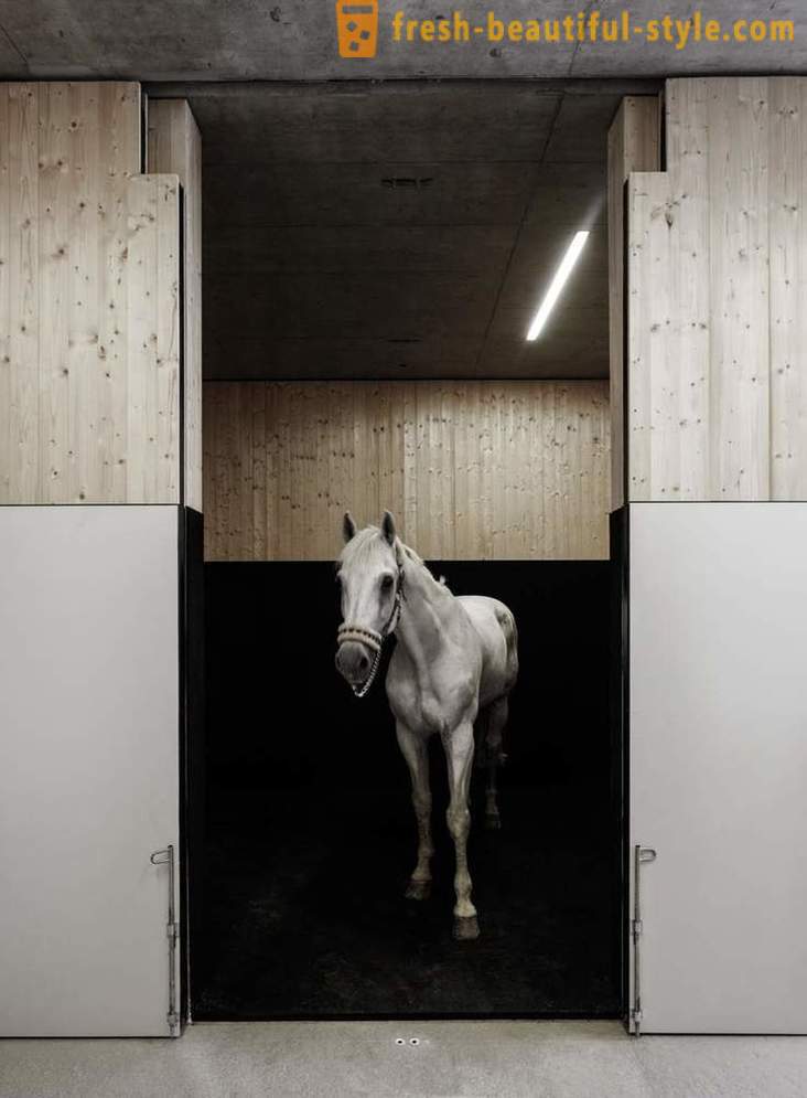 Дизајн ветеринарској клиници за коње у Аустрији