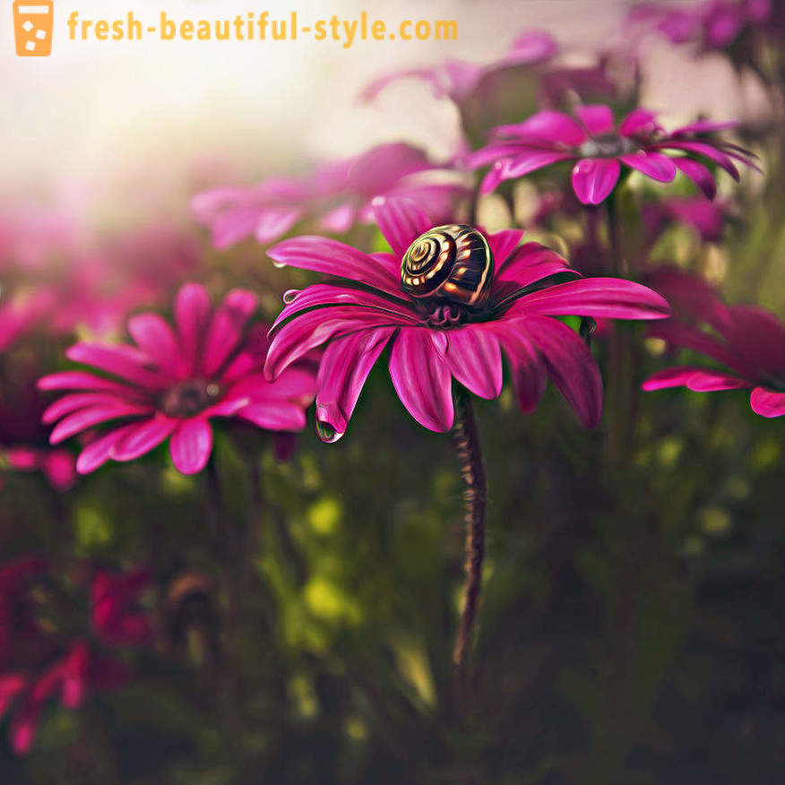Лепота цвећа у макро фотографије. Прелепе слике цвећа.