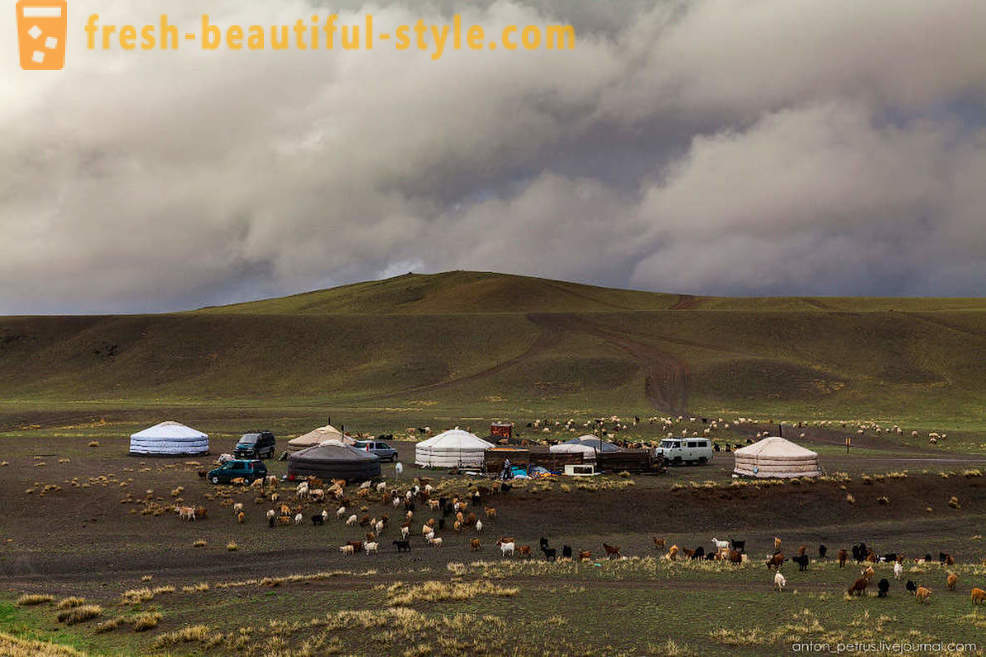 Оштра Монголија