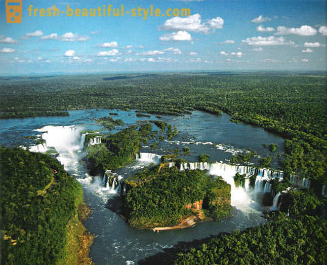 Амазон - чудо природе света