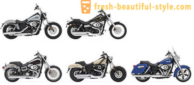 Различити модели мотоцикала из Харлеи-Давидсон?