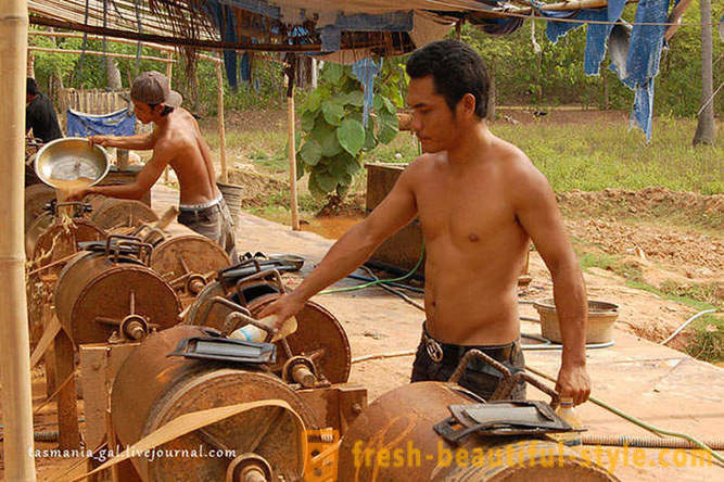Како да ископава злато у Индонезији
