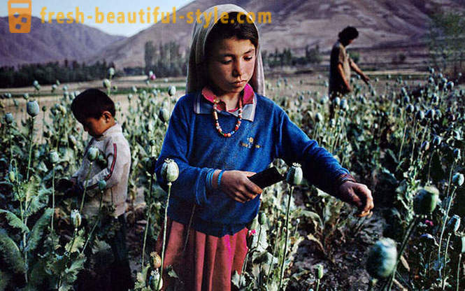 Авганистан кроз призму Стеве Мц Цурри