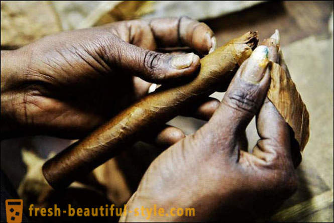 Процес стварања најбоље кубанских цигара