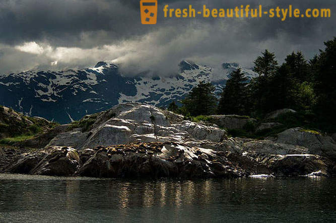 Глечер Беј Национални парк на Аљасци