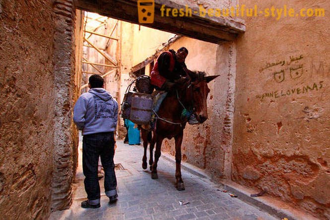 Фес - најстарија од царских градова Марока