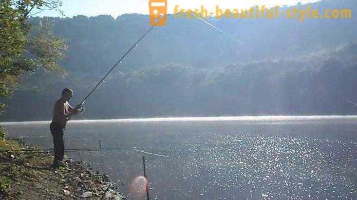 Риболов на брадавици. Карактеристике суммер фисхинг