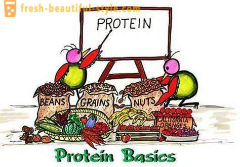 Шта су протеини? Ко и како да се протеин