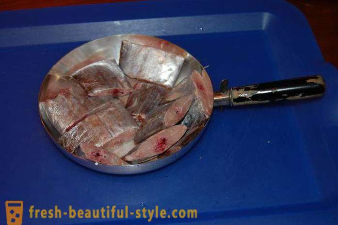 Где је обично риба сабрефисх? Како да кува рибе сабрефисх?