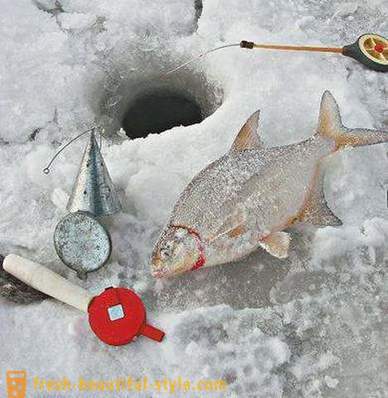 Зима деверика. Прибор за зимски риболов деверике