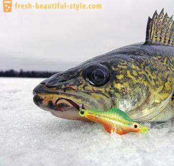 Риболов на звука током зиме. риболов техника на греди